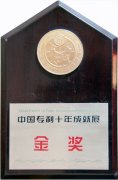 中国专利十年成就展金奖